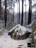 Findling Teufelsstein im Kemmener Forst bei Calau in Brandenburg, (D) (3) 24. Januar 2015.JPG